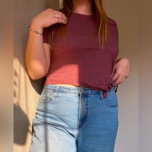 Pacsun Cropped Baby Tee